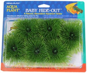Guppy grass low light aquarium plants
