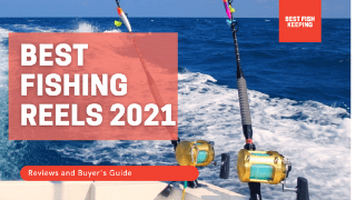 best fishing reels 2021