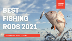 best fishing rods 2020