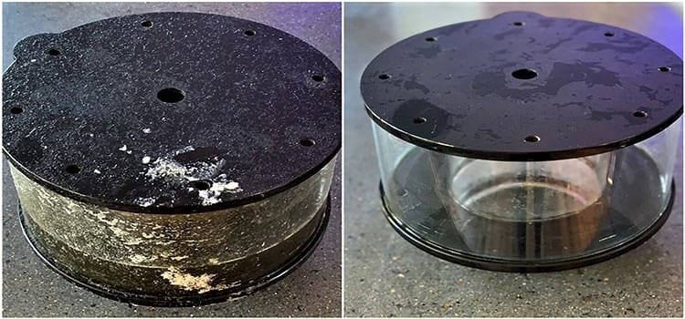 how to Clean a Protein Skimmer & Collection Cup
