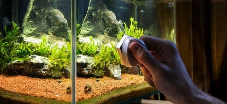 Importance of Cleaning Collection Cup