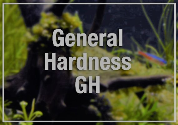 What is GH in Aquarium