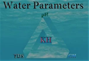 What is KH in Aquarium Water