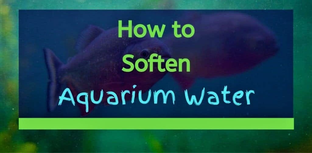 how-to-soften-aquarium-water