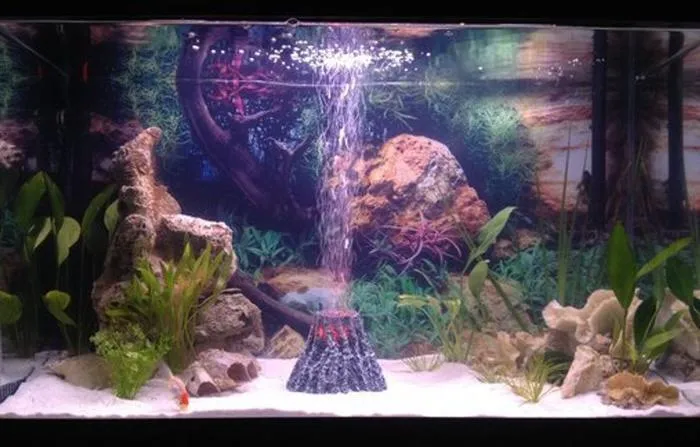 Lighting for Aquarium